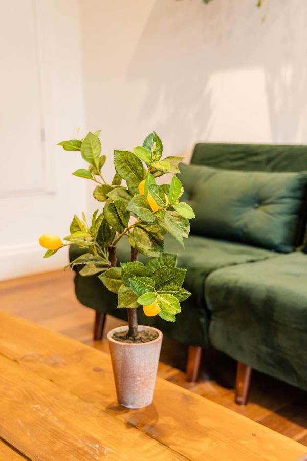 2Cq*Morden Studio Flat *Moments Away From Brighton Seafront Lejlighed Eksteriør billede